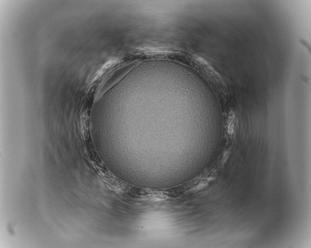 X0000099321157200805301210