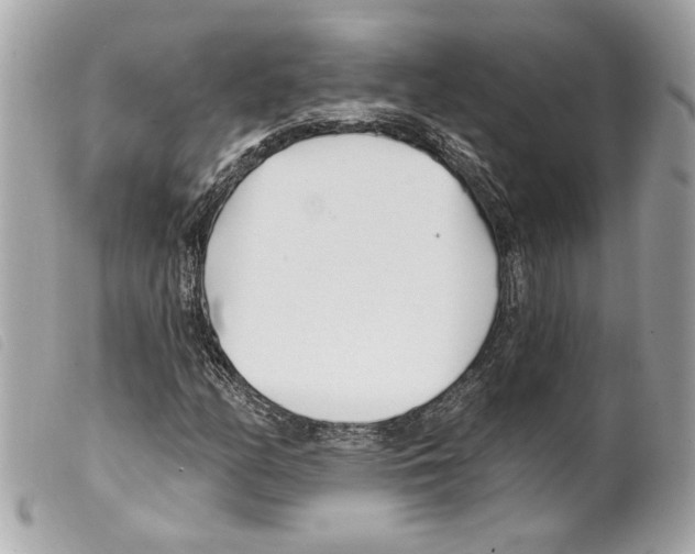 X0000099321158200805301210