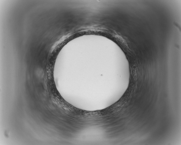 X0000099321159200805301209