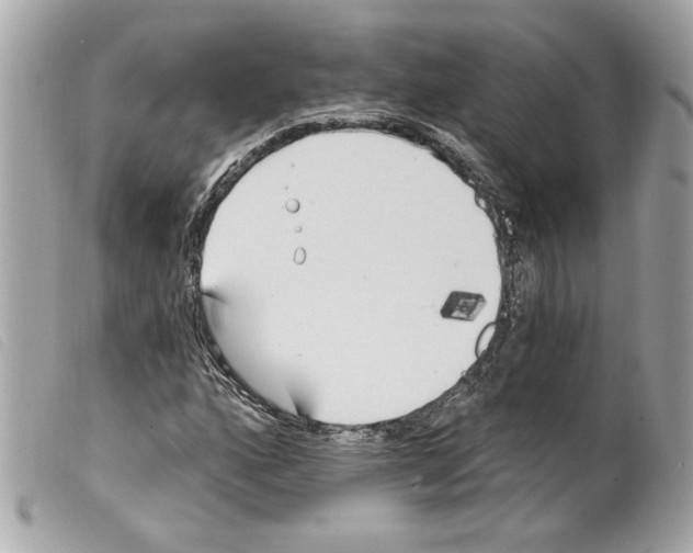 X0000099321160200805301209