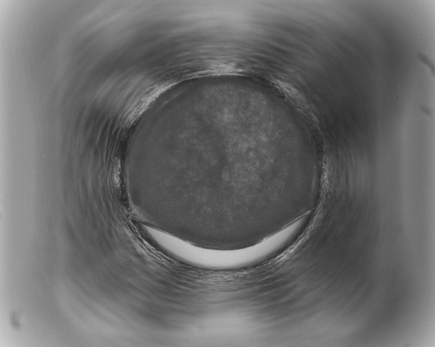 X0000099321161200805301209