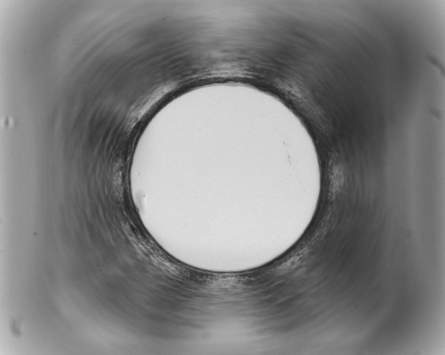 X0000099321162200805301209