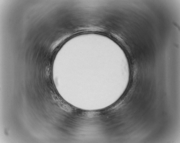 X0000099321163200805301209