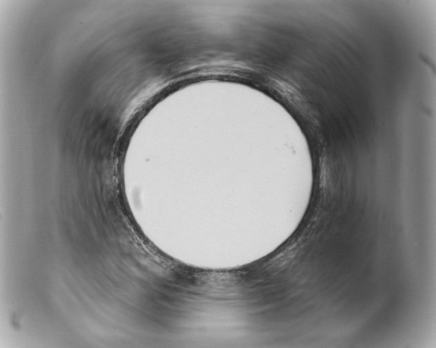 X0000099321164200805301209
