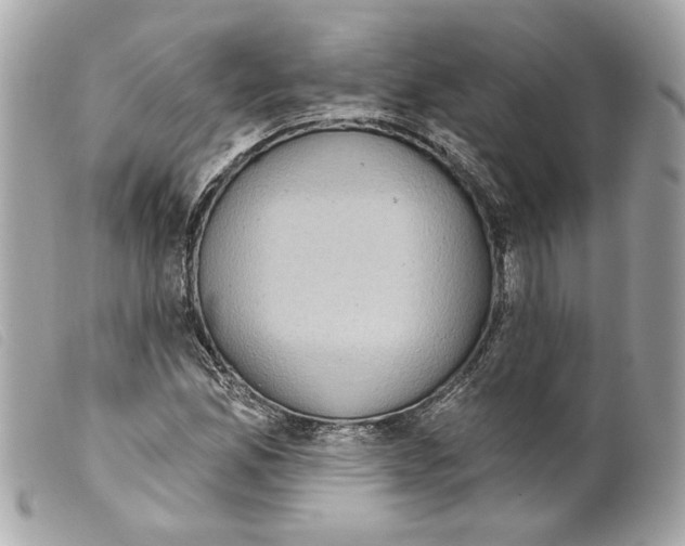 X0000099321165200805301209