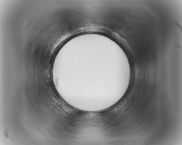 X0000099321166200805301209