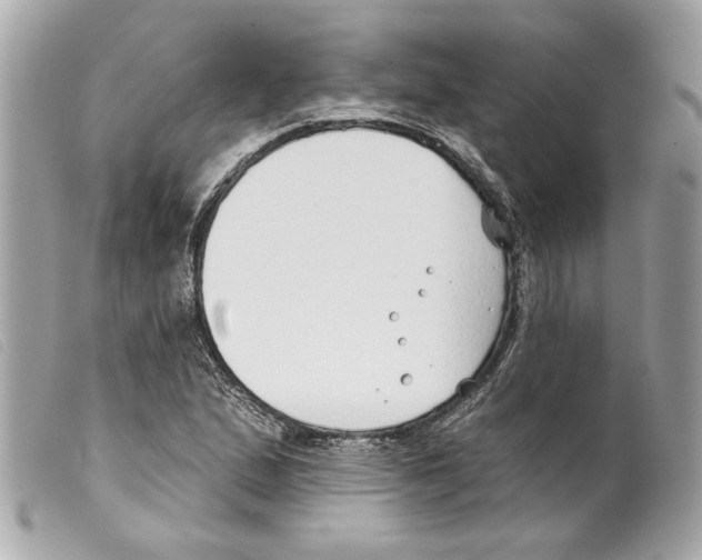 X0000099321167200805301209