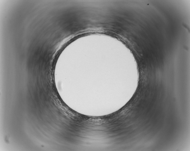 X0000099321168200805301209