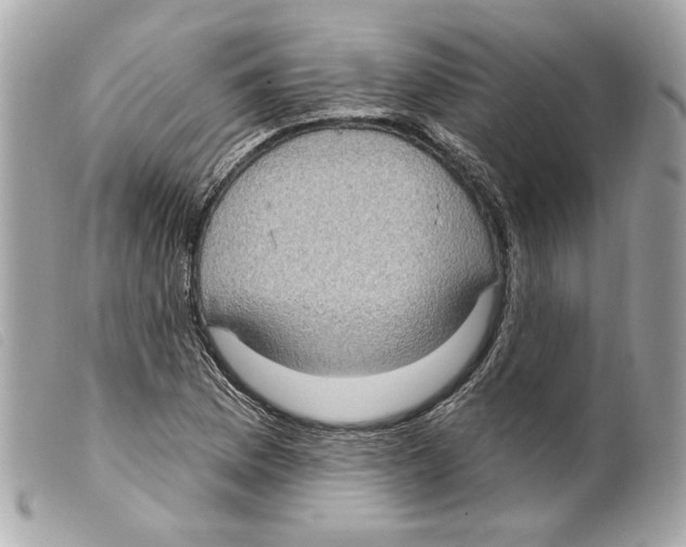 X0000099321169200805301209