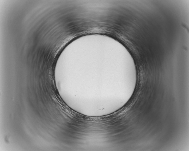 X0000099321170200805301209