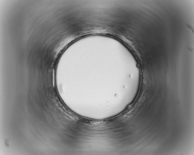 X0000099321171200805301209