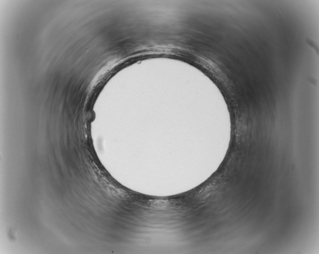 X0000099321172200805301209