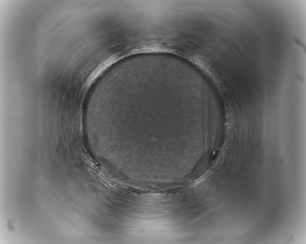 X0000099321173200805301209