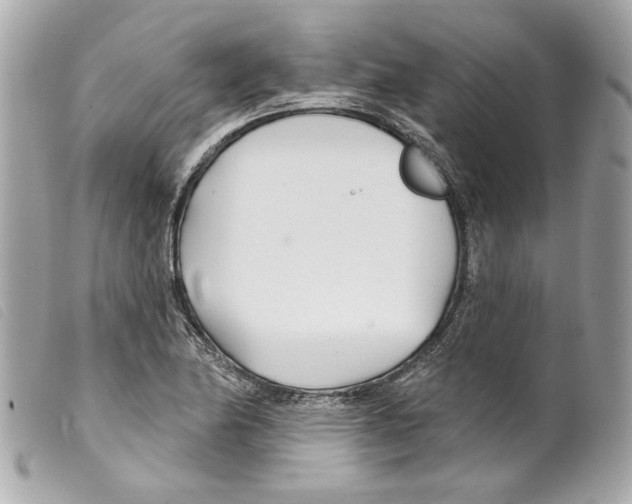 X0000099321174200805301209
