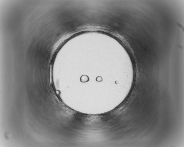 X0000099321175200805301209