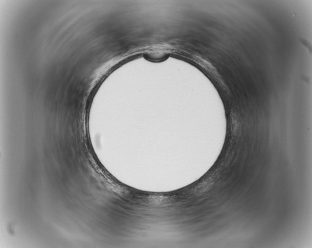 X0000099321176200805301209
