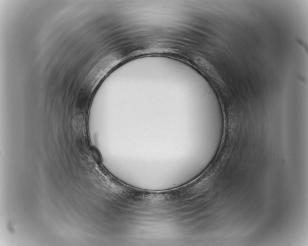 X0000099321177200805301209
