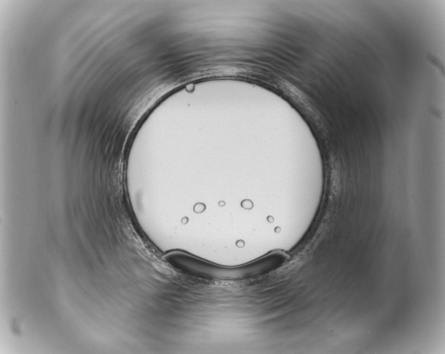 X0000099321178200805301209