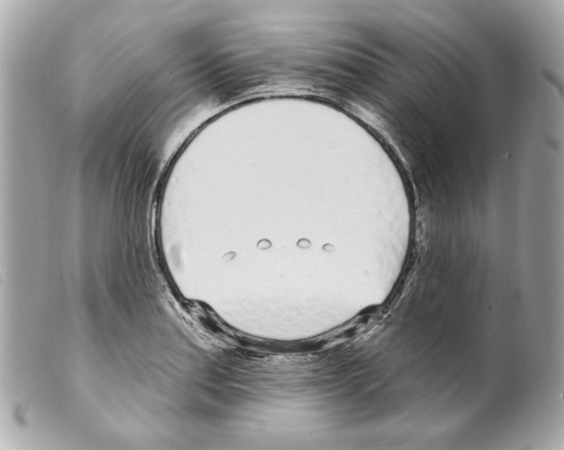 X0000099321179200805301209