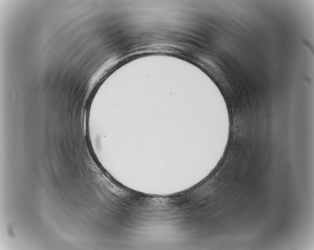 X0000099321180200805301209