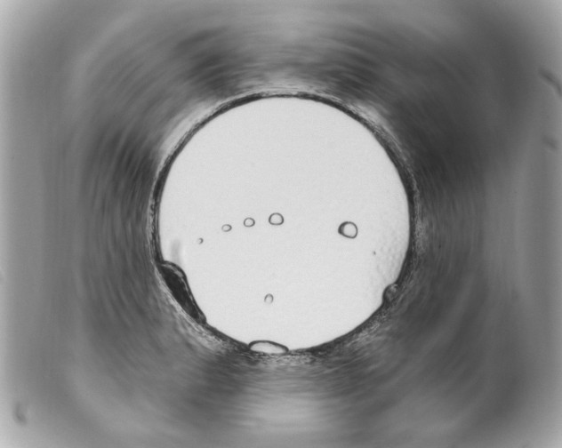 X0000099321183200805301209