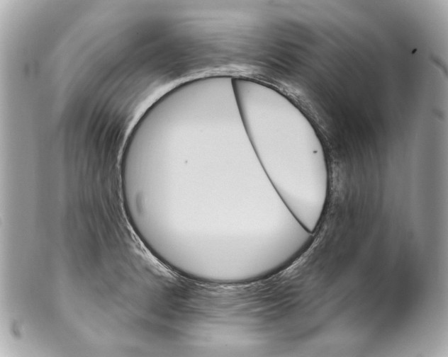 X0000099321184200805301209