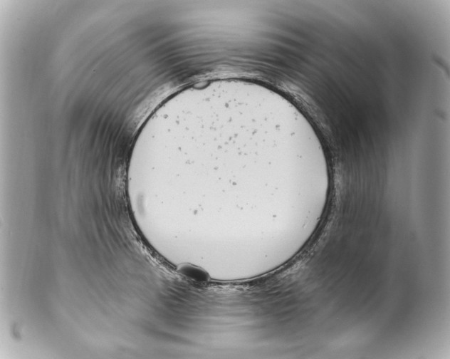X0000099321185200805301209