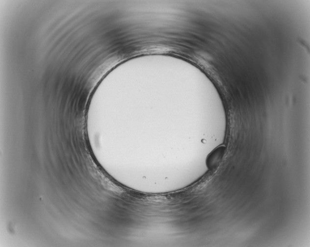 X0000099321186200805301209