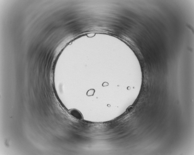 X0000099321188200805301209