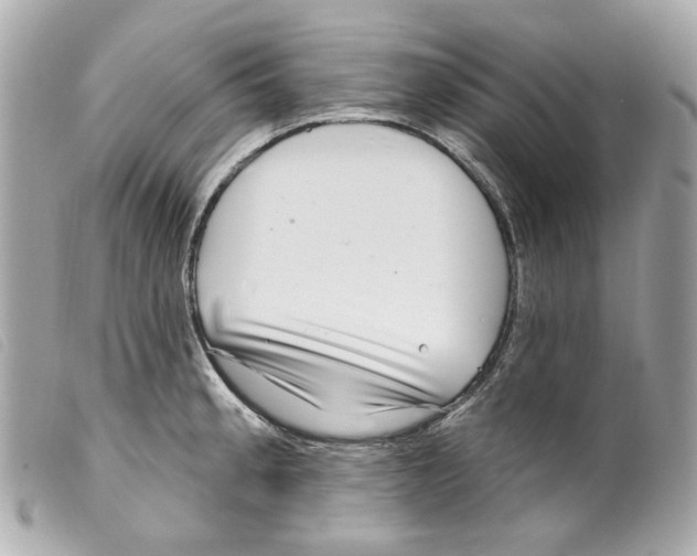 X0000099321189200805301209