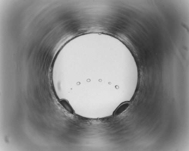 X0000099321190200805301209