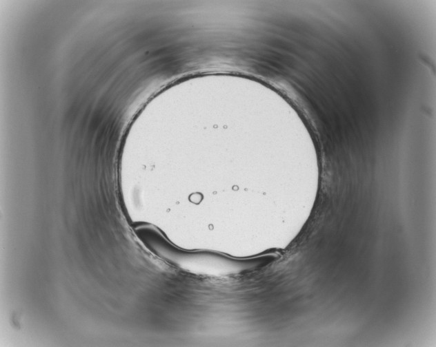 X0000099321191200805301209