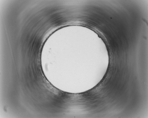 X0000099321192200805301209