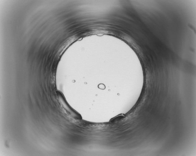 X0000099321193200805301209