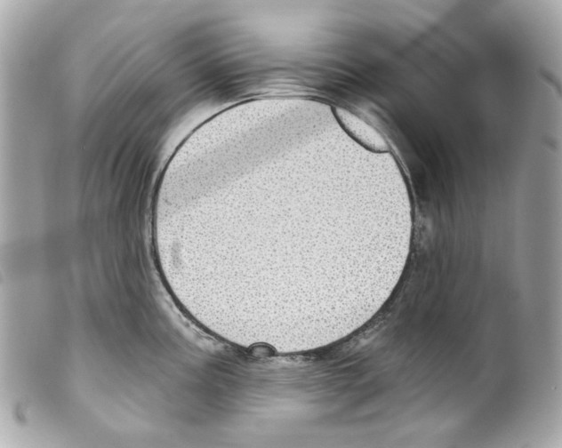 X0000099321195200805301209