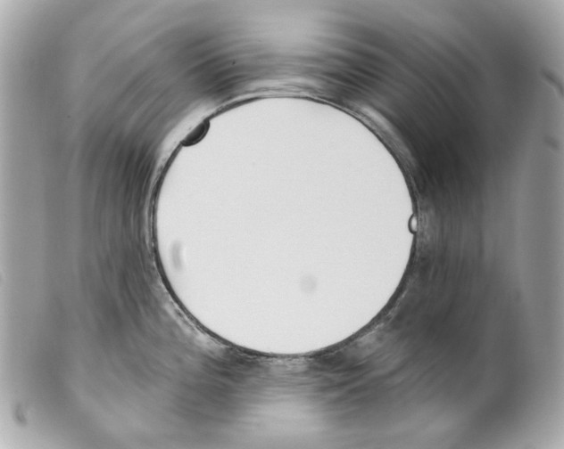 X0000099321196200805301209