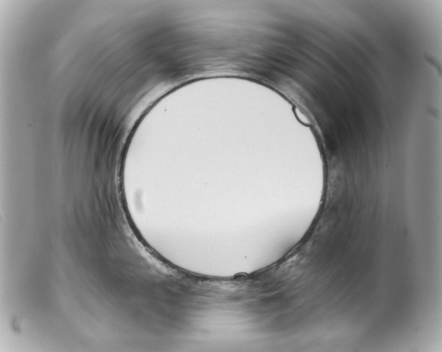 X0000099321197200805301209