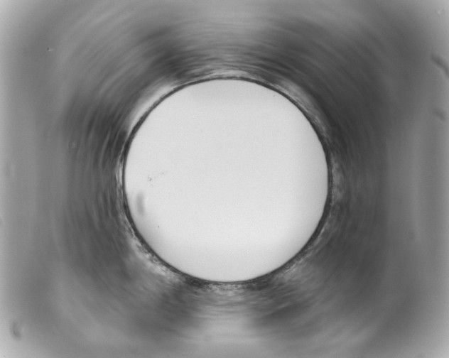 X0000099321198200805301209