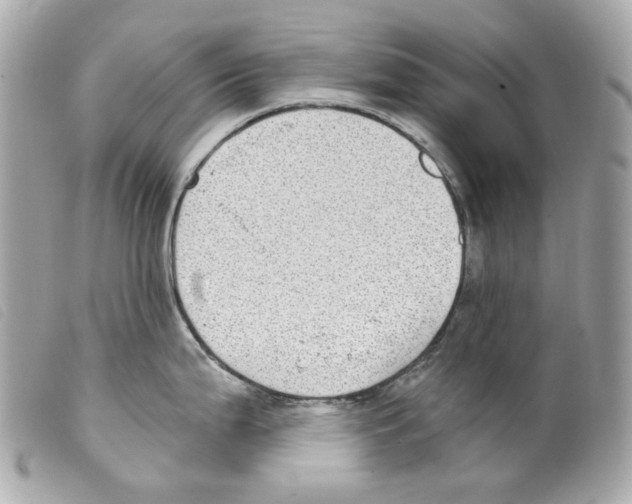 X0000099321199200805301209