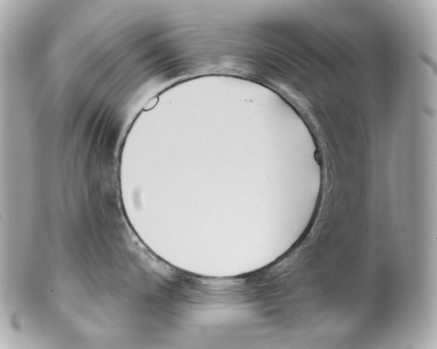 X0000099321200200805301209