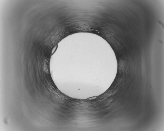 X0000099321202200805301208