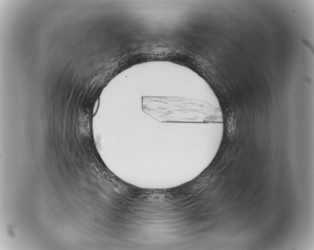 X0000099321204200805301208