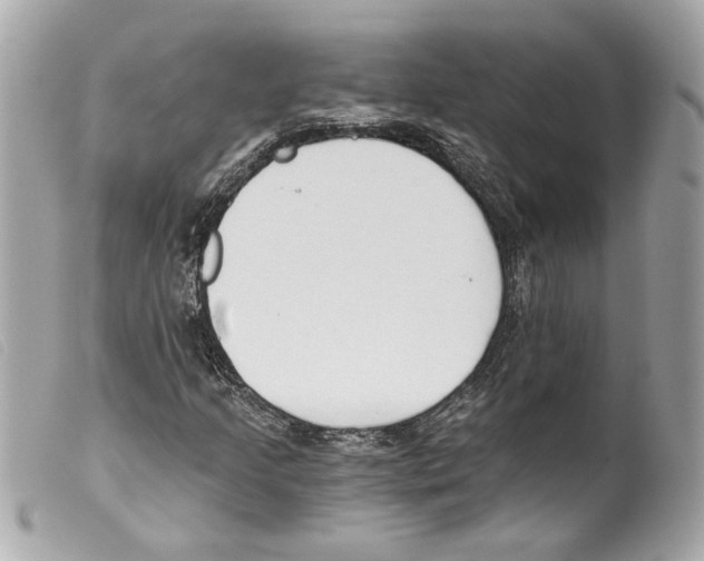 X0000099321205200805301208