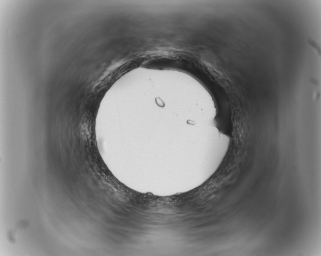 X0000099321206200805301208