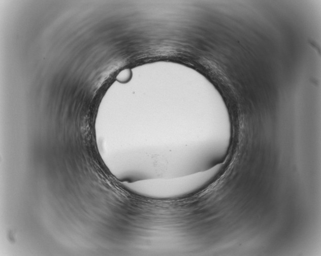 X0000099321210200805301208