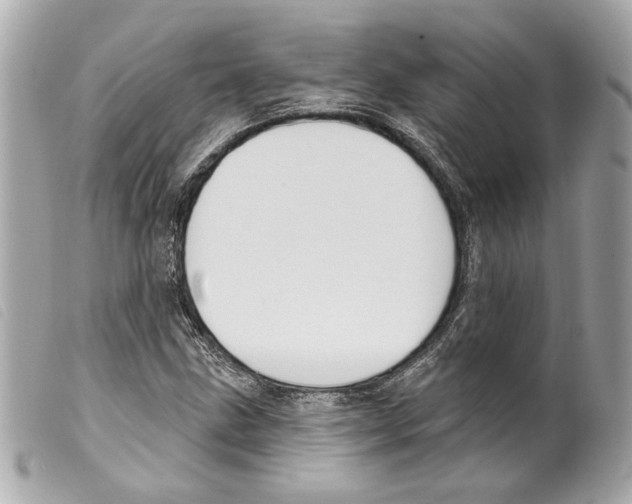 X0000099321211200805301208
