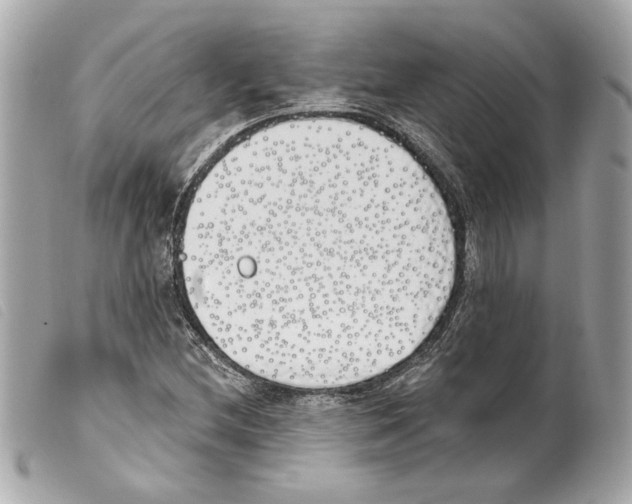 X0000099321212200805301208