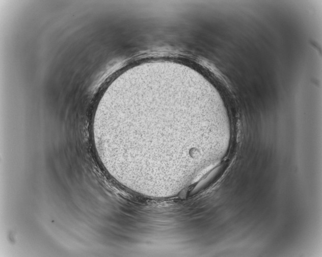 X0000099321213200805301208