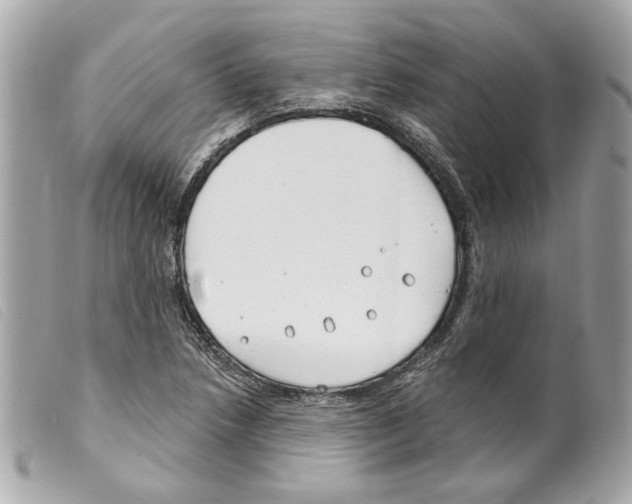 X0000099321218200805301208