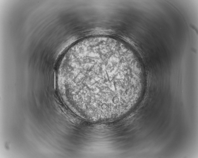 X0000099321219200805301208